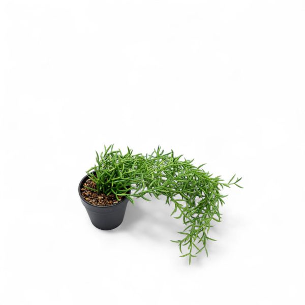 Othona 40cm