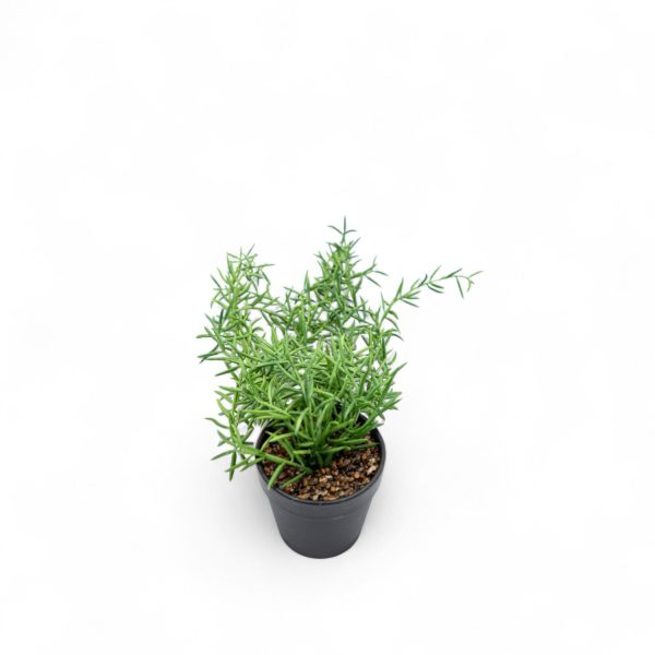 Othona 40cm - Imagen 5