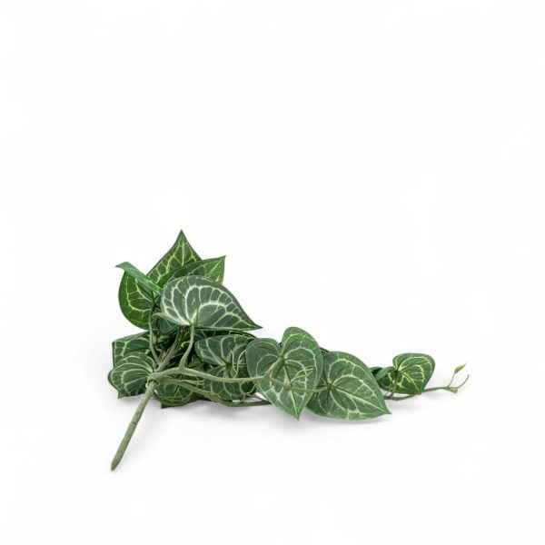 Singonio colgante 54cm - Imagen 3