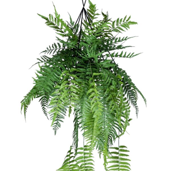 Helecho colgante 142cm - Imagen 2