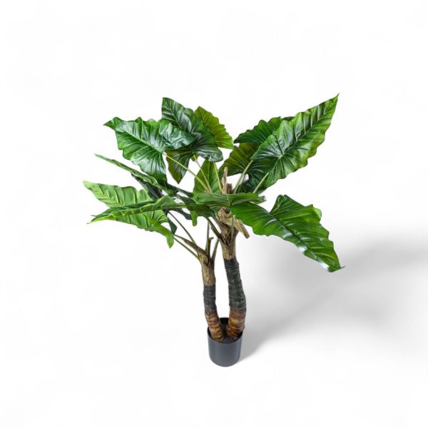 Planta Cala 150cm