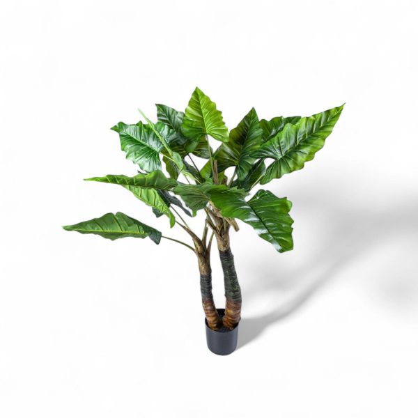 Planta Cala 150cm - Imagen 2