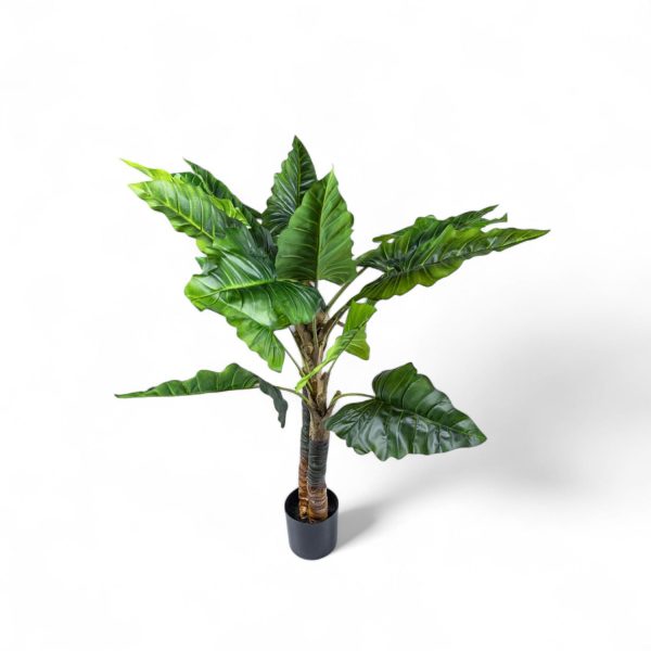 Planta Cala 150cm - Imagen 3