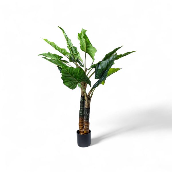 Planta Cala 150cm - Imagen 4