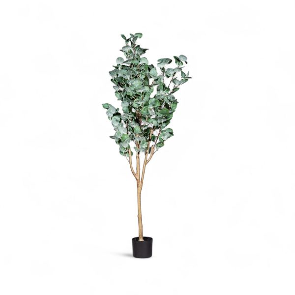 Arbol eucalipto 150cm