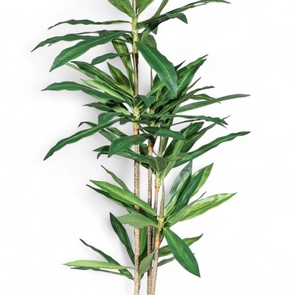 Arbol dracena 160cm - Imagen 2