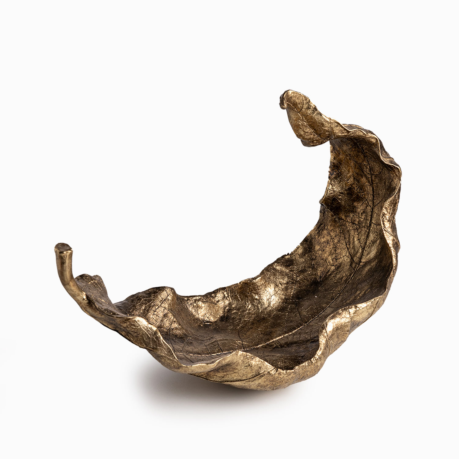 Hoja en resina dorada