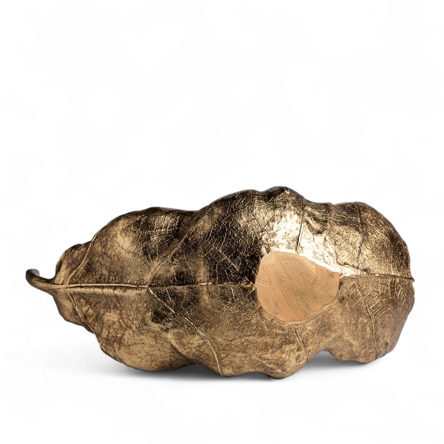 Hoja en resina dorada - Imagen 6