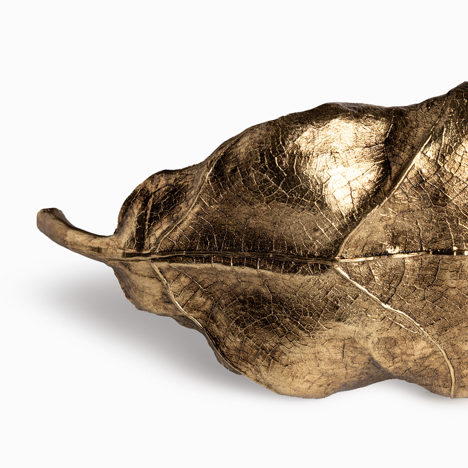 Hoja en resina dorada - Imagen 5