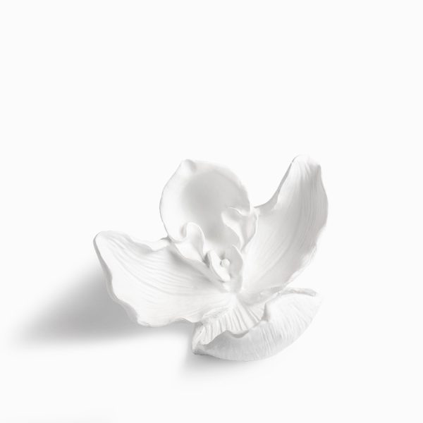 Orquídea blanca - Imagen 3