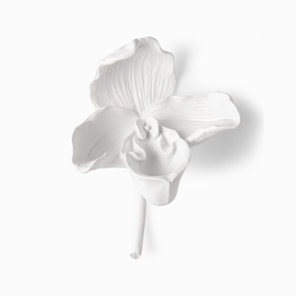 Orquídea blanca
