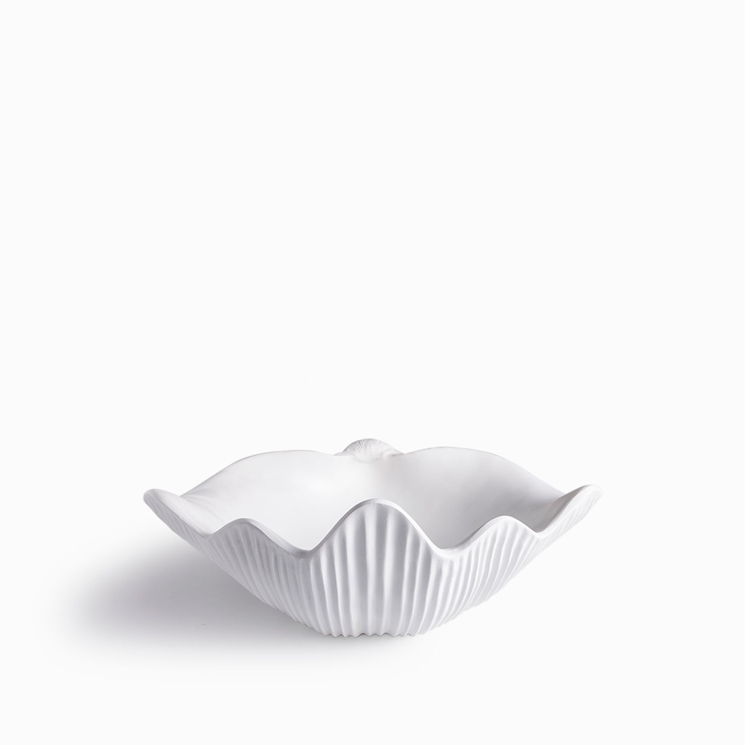 Centro de mesa concha blanco - Imagen 4