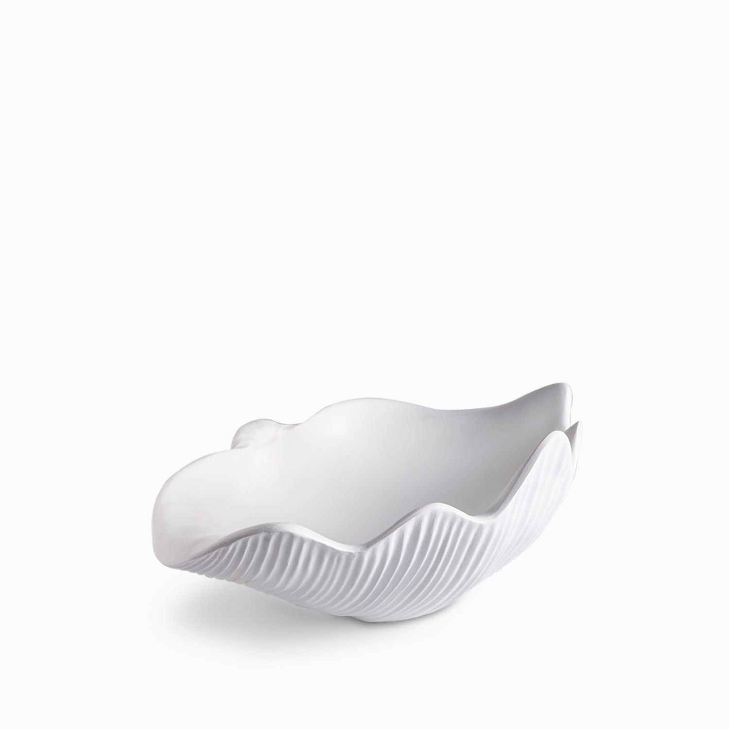 Centro de mesa concha blanco - Imagen 3