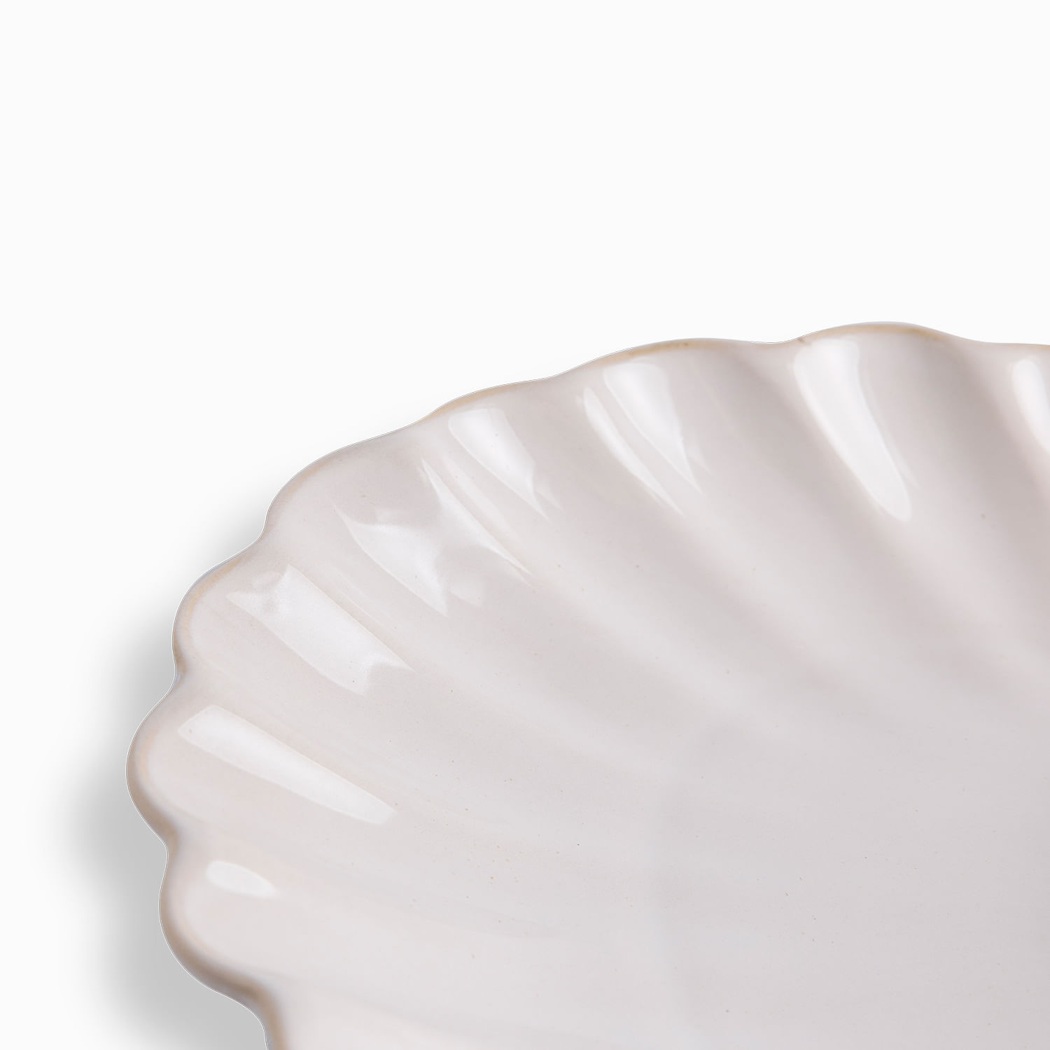 Chip and dip concha costa serena - Imagen 8