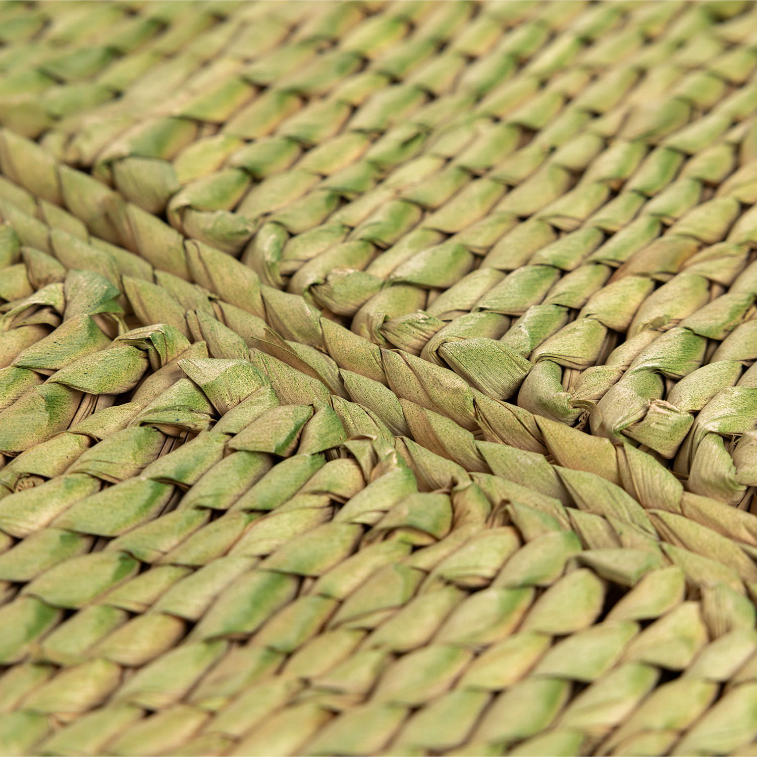 Individual Leaf verde - Imagen 7