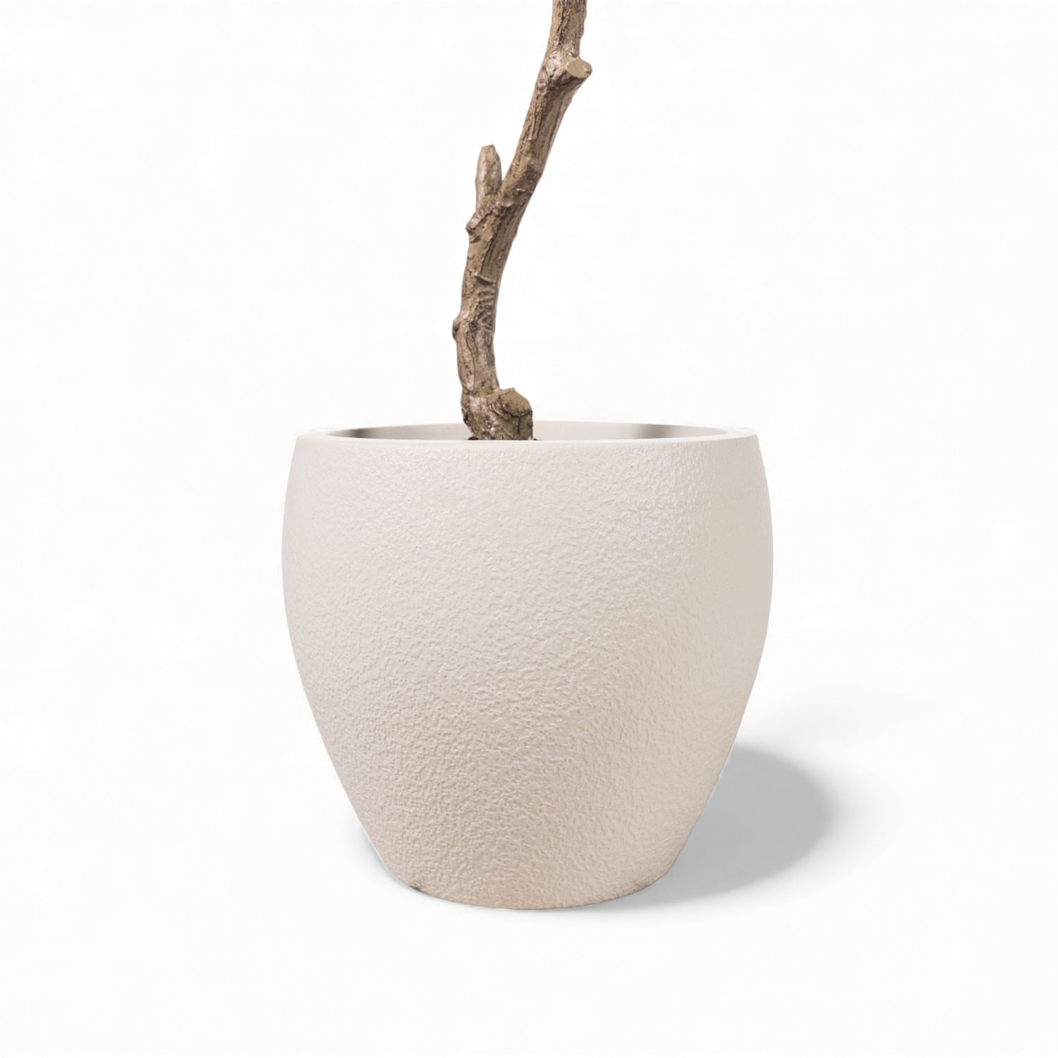 Árbol Elaeocarpus 170cm - Imagen 6