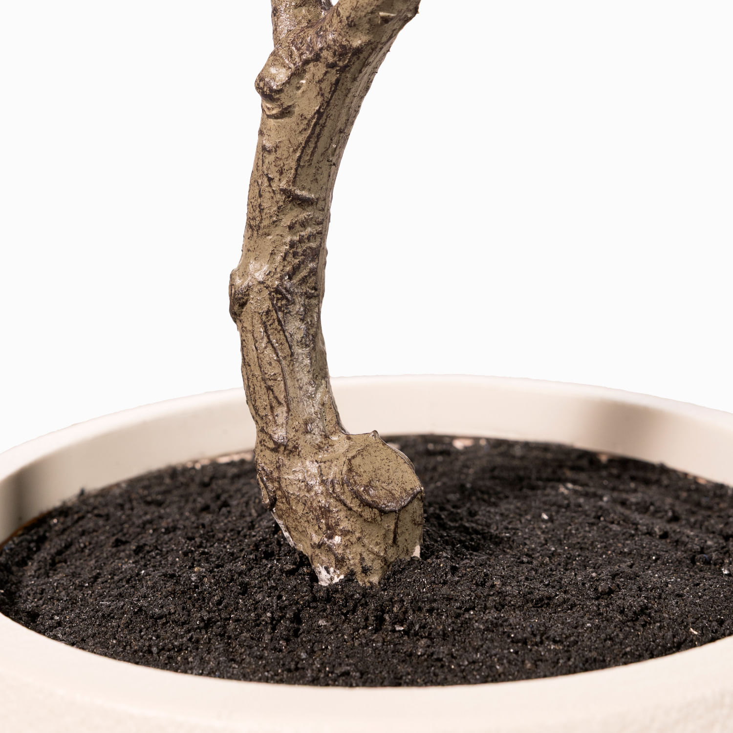 Árbol Elaeocarpus 170cm - Imagen 7