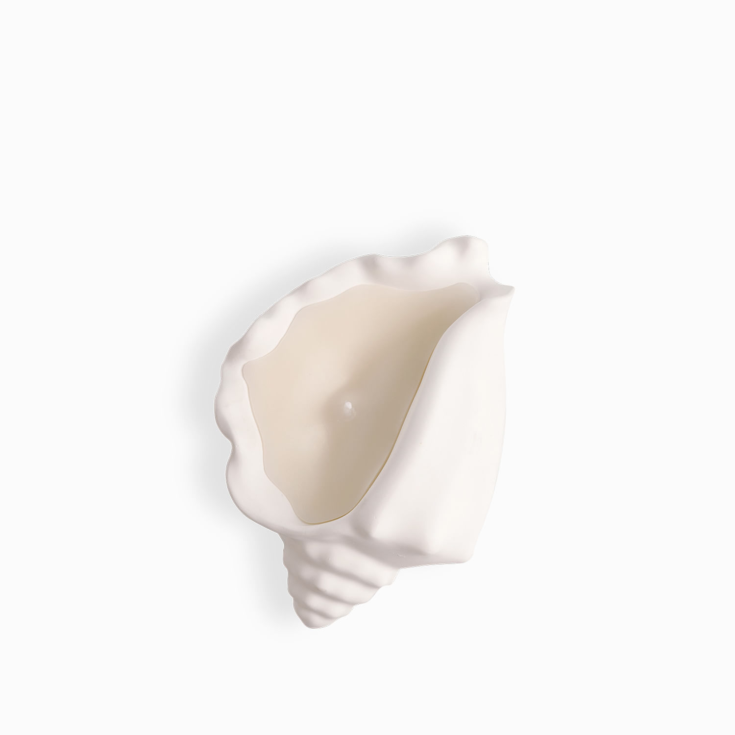 Vela concha mar grande - Imagen 6