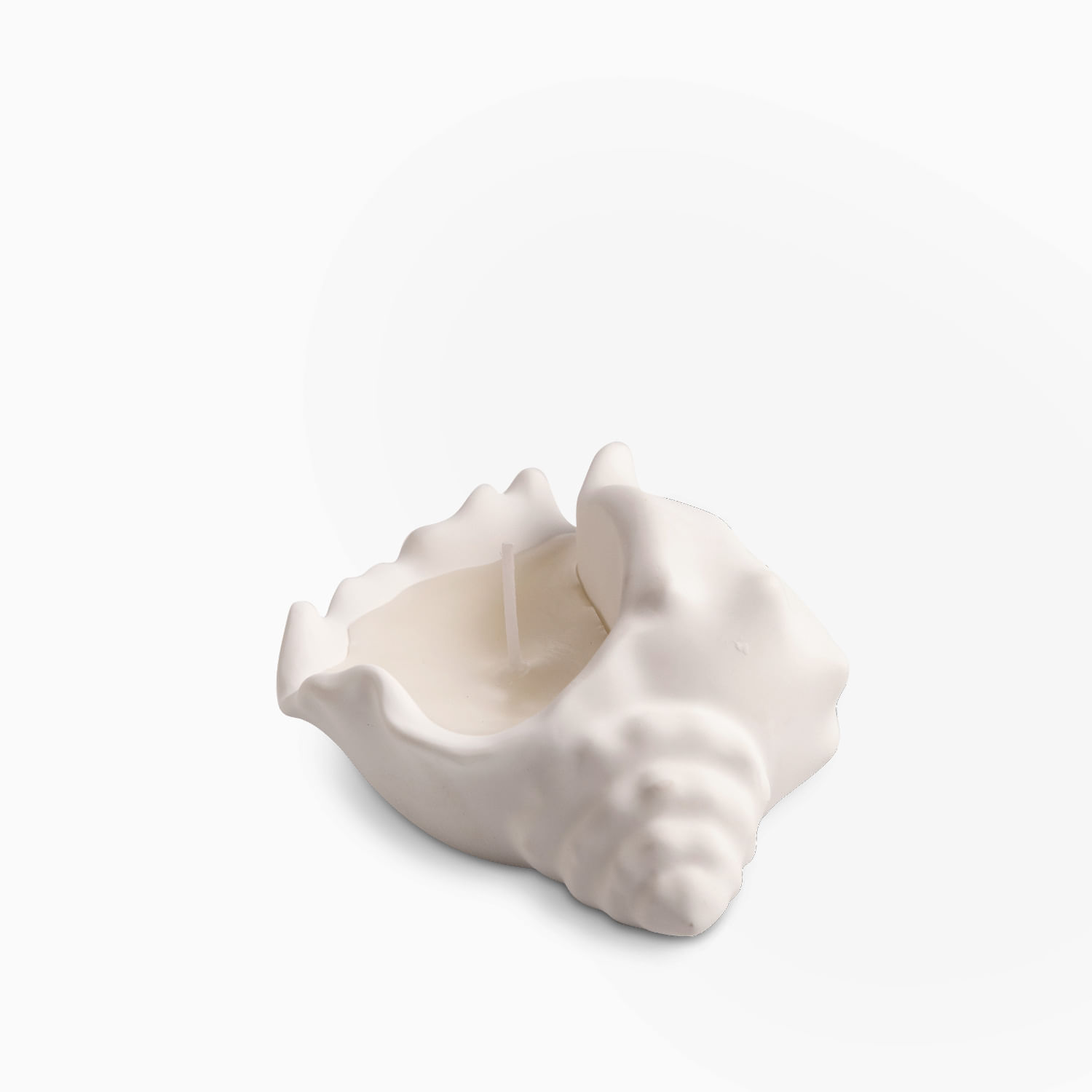 Vela concha mar grande - Imagen 7