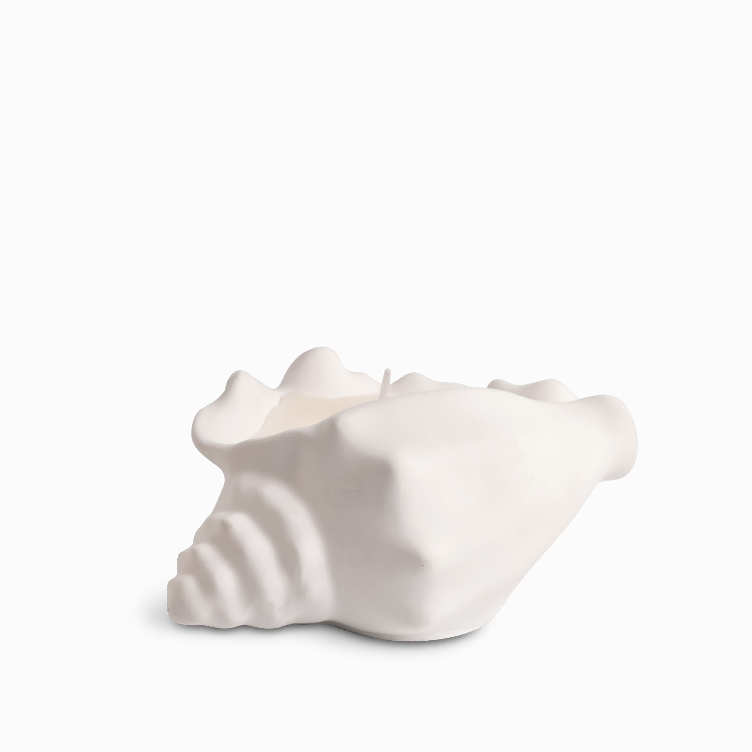 Vela concha mar grande - Imagen 8