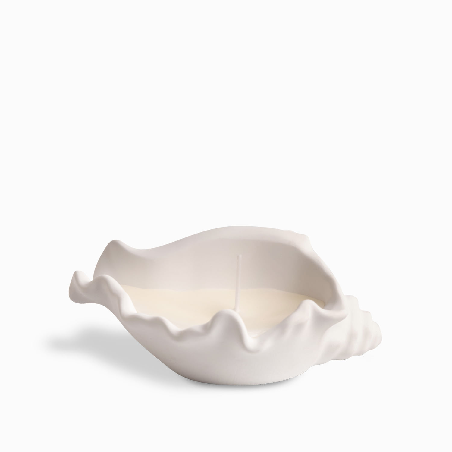 Vela concha mar grande - Imagen 3