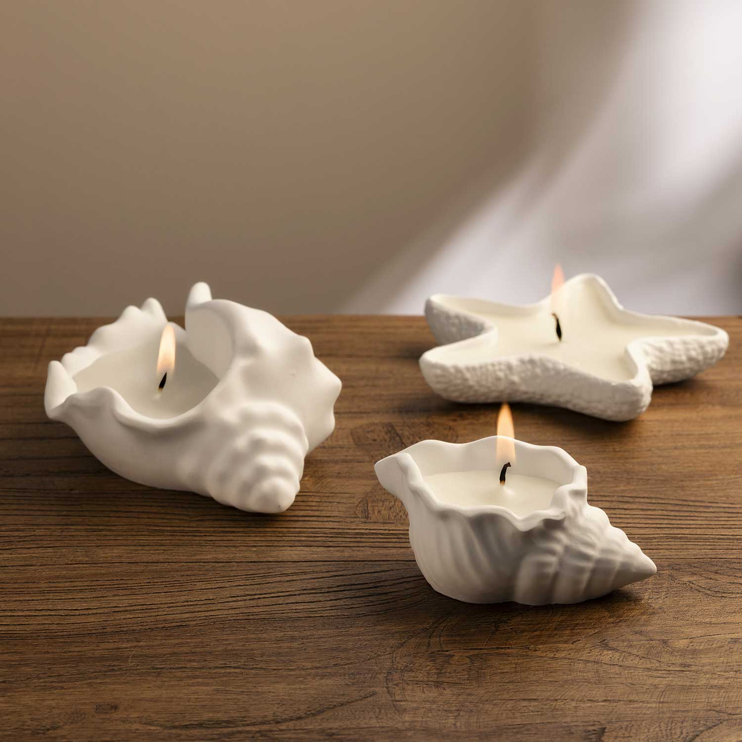 Vela concha mar grande - Imagen 2