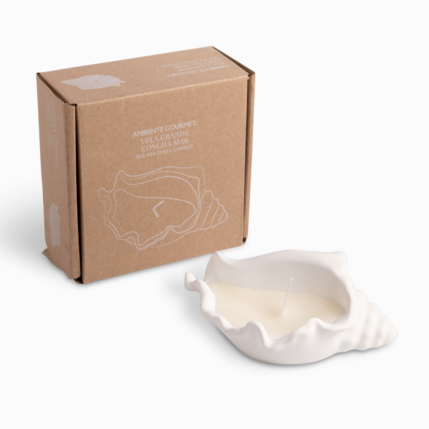 Vela concha mar grande - Imagen 4