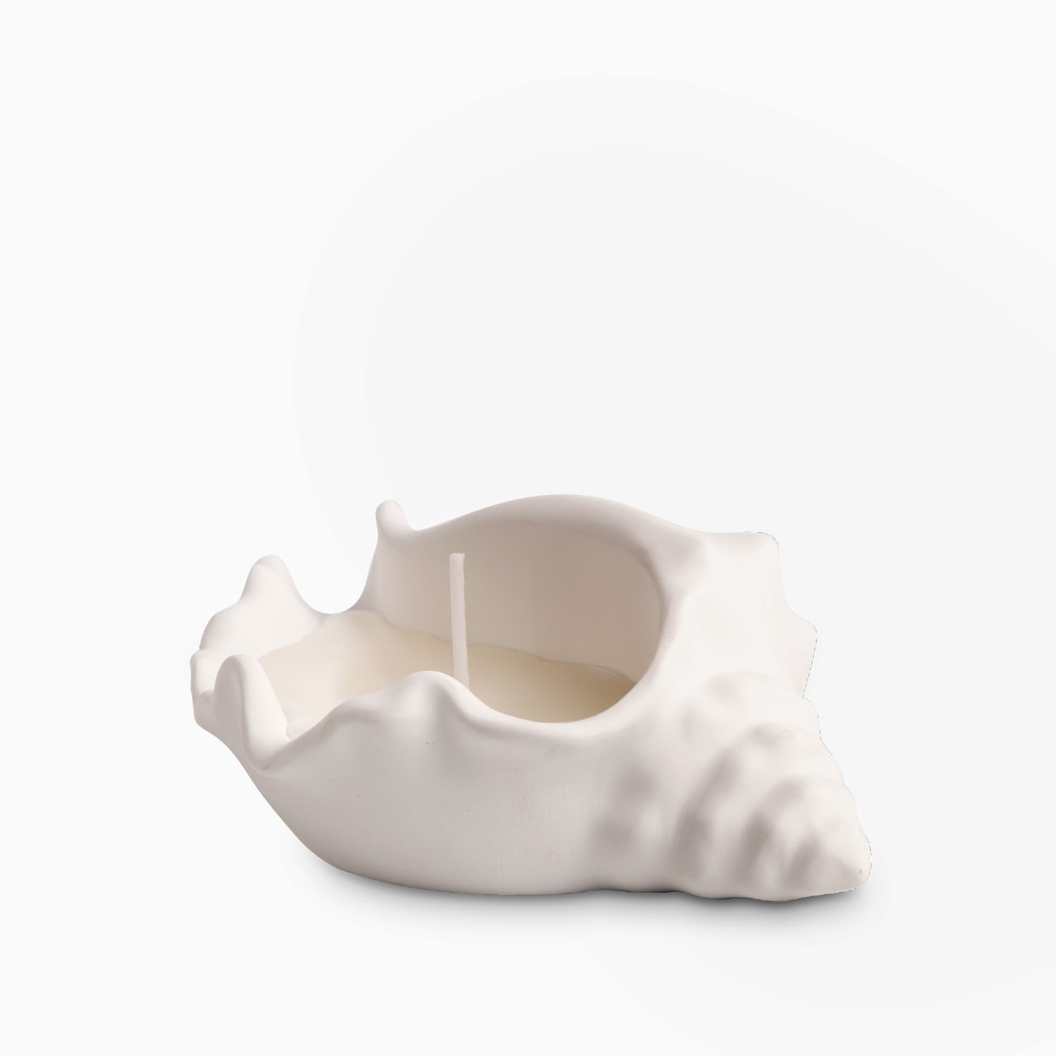 Vela concha mar grande