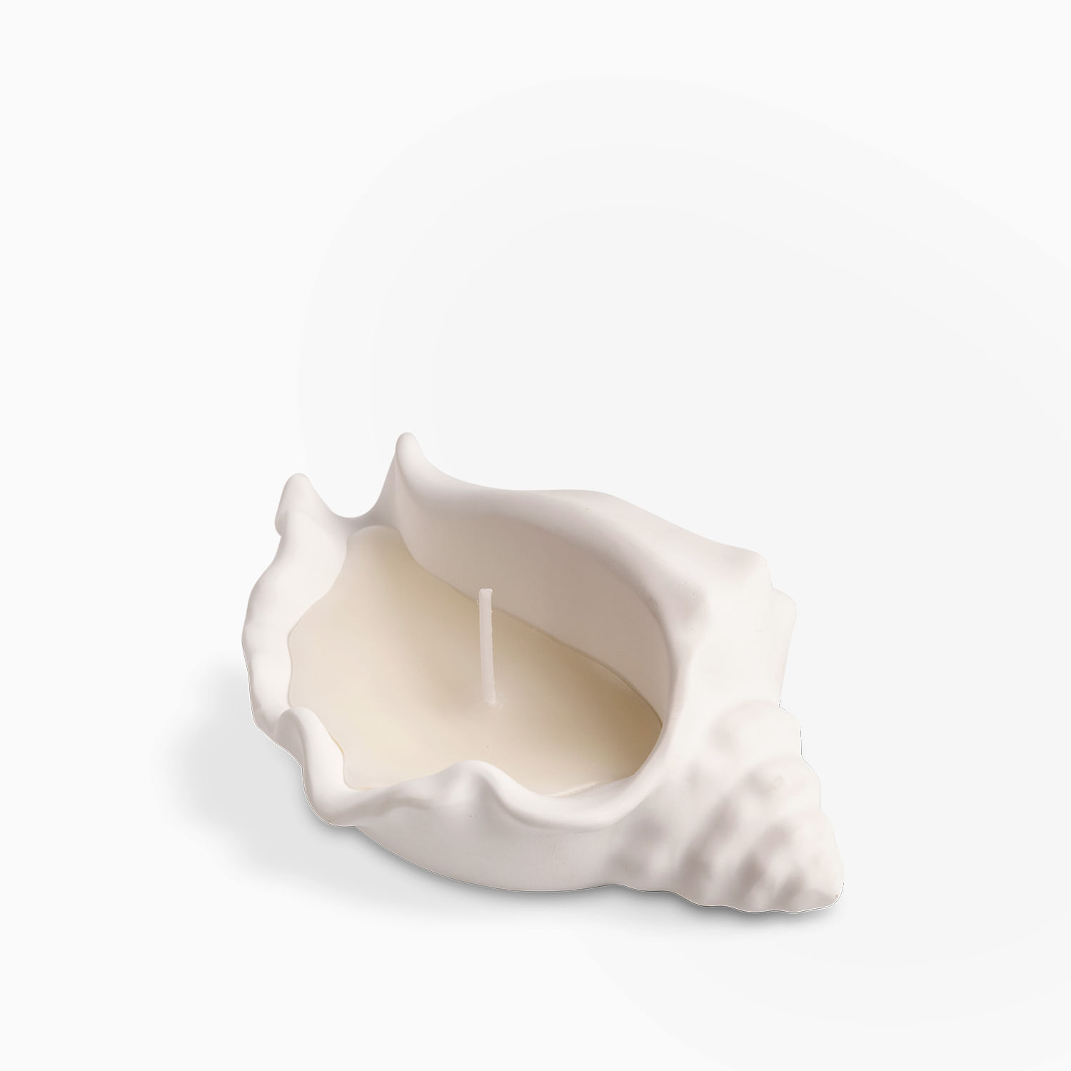 Vela concha mar grande - Imagen 5