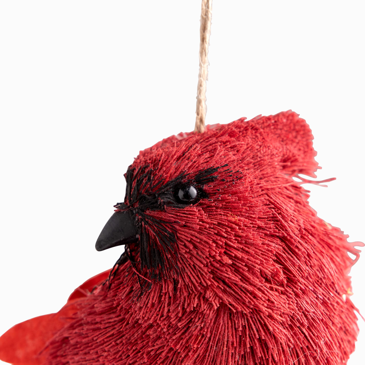Pajaro cardenal mirada derecha - Imagen 2