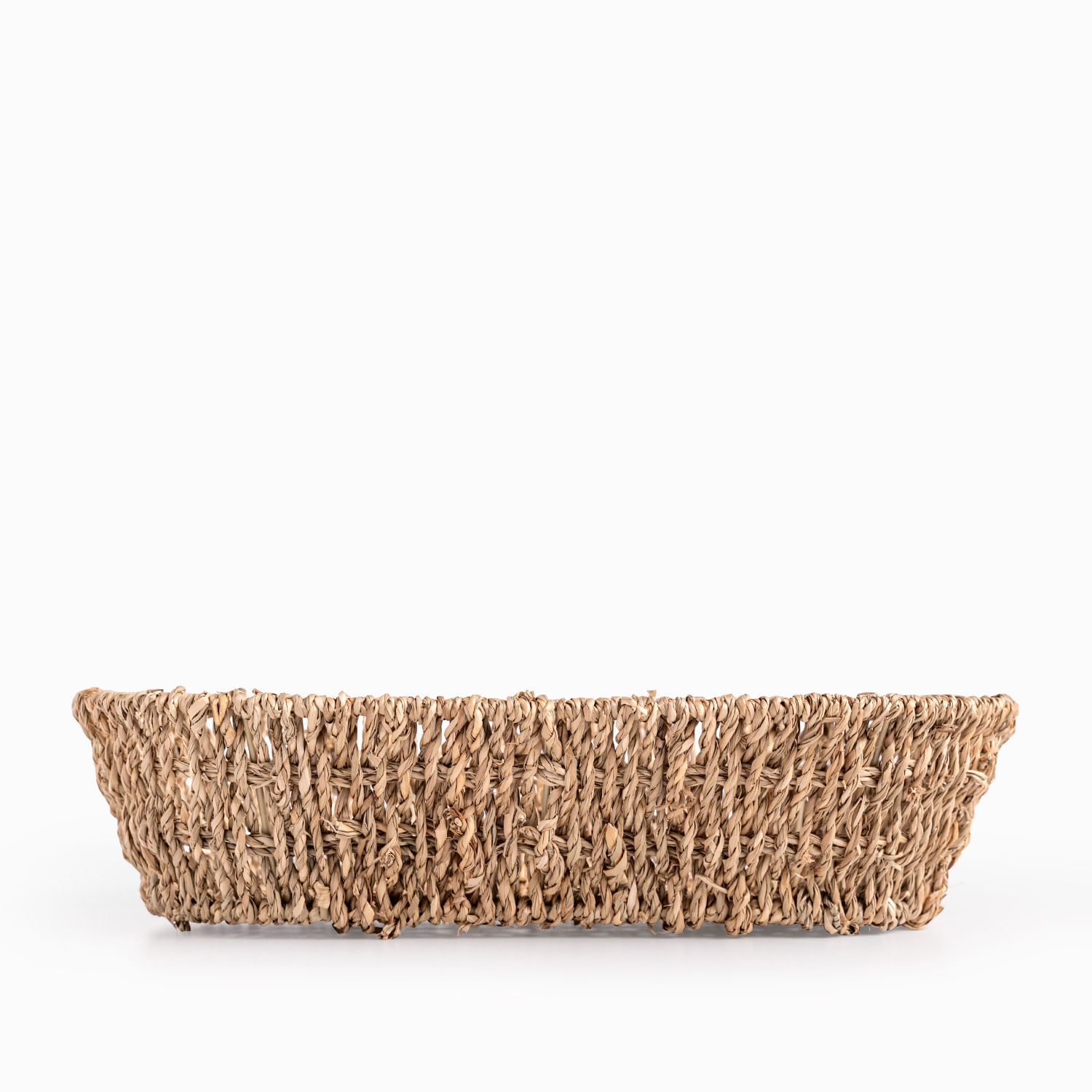 Panera Seagrass - Imagen 3