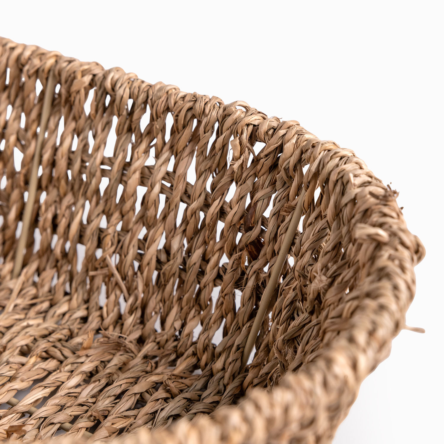 Panera Seagrass - Imagen 5