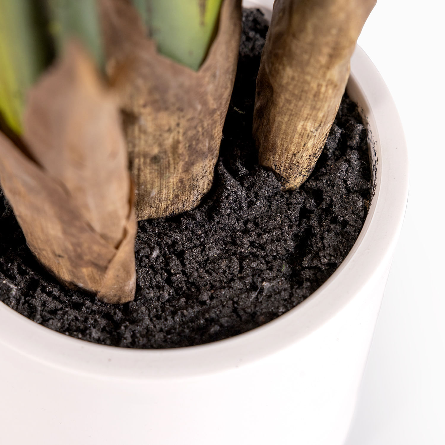 Planta paraíso Pot 160cm - Imagen 4