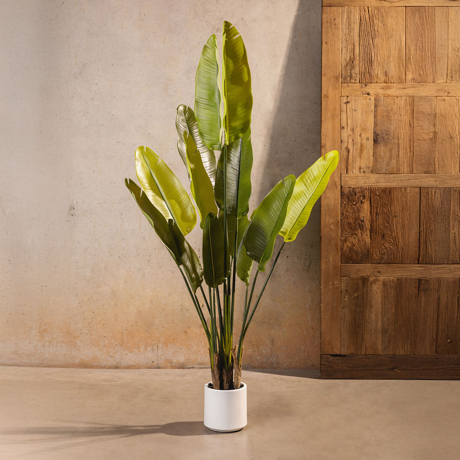 Planta paraíso Pot 160cm - Imagen 2